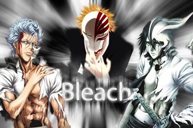 Download Free Bleach Anime Wallpapers HD