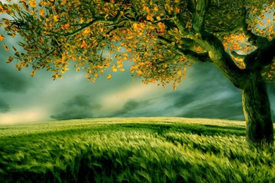 Beautiful Digital Scenery Wallpapers