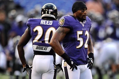 Ray Lewis And Ed Reed Wallpapers