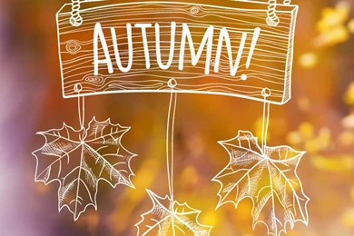 Hand Drawn Autumn Backgrounds Vector
