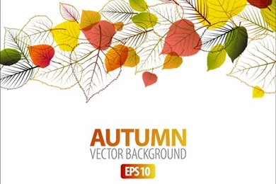 Set Of Charm Autumn Backgrounds Vector 04   Vector Backgrounds Free ...