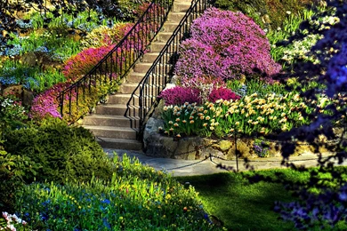 Nature Wallpapers 27