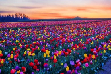 Most Stunning Views Of The World