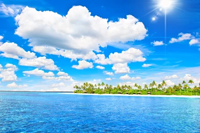 Amazing Views, Nature Images, Free Download Images, Green, Life ...