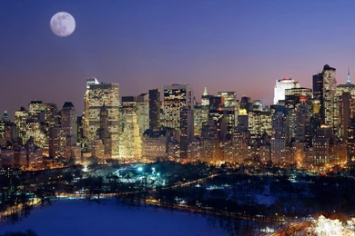 Quotes About Buffalo Ny. QuotesGram