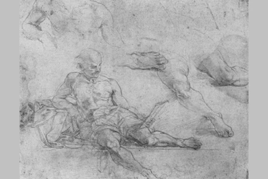 Study On The "School Of Athens" Diogenes , Raffaelo Wallpapers