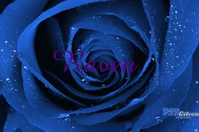 BIG BEAUTIFUL BLUE ROSE   Teen Titans Raven Wallpapers (9378038 ...