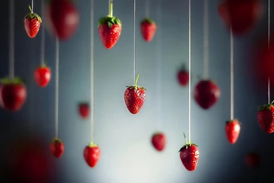 Strawberry Wallpapers HD