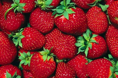 Strawberry HD Wallpapers