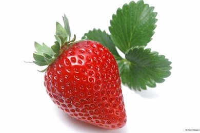 Free Wallpapers   Free Photography Wallpapers   Strawberry 3 ...