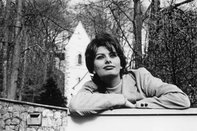 Sophia Loren Backgrounds HD Wallpapers