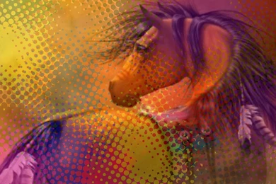 Cool Indian Horse   Horses Wallpapers (34245156)   Fanpop   Page 8