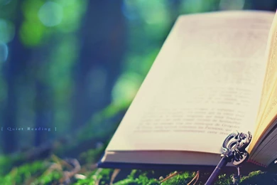 Photography wallpapers 13   Photography Wall