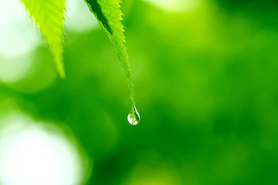 Wallpapers: Digital Photography Wallpapers