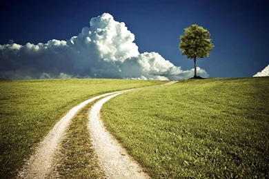 Wallpapers: Free Photography Wallpapers