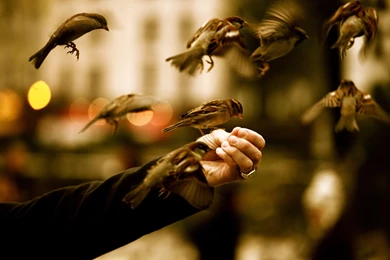 Great Photography S Wallpapers