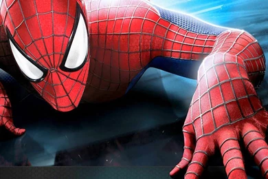 Pics, Facts, Funny Stuff About Animals & Nature Spiderman ...