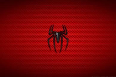 Spiderman Logo HD PC Wallpapers 260   HD Wallpapers Site
