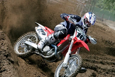 Index Of /wp content/uploads/ktzbulkwallpaper 1428511787/