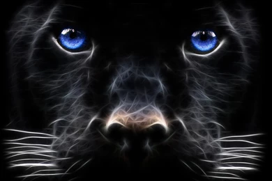 Desktop Images Collection (37+)