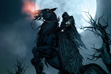 Category: Images   Page 13