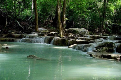 Download Natural Wallpapers   HD Wallpapers And Pictures