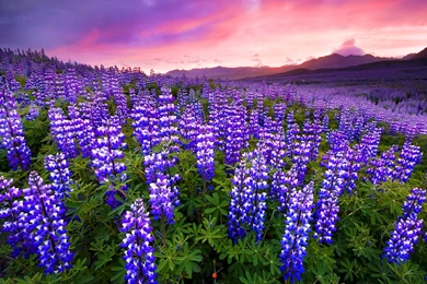 Hd Nature Wallpapers, Landscape, View, Natural Images, Cute ...