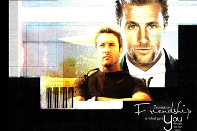 Steve & Danny (Hawaii Five 0): Larmay