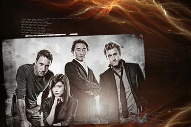 Go Crazy   H50 Fanart (Wallpapers)