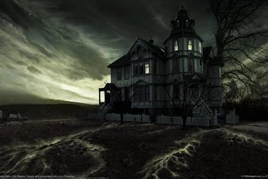 Nature, Wallpaper, Leviatan, Vistas, Black, Vista, Anhtuan, Spirit ...