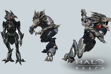 Halo Reach Widescreen Wallpapers