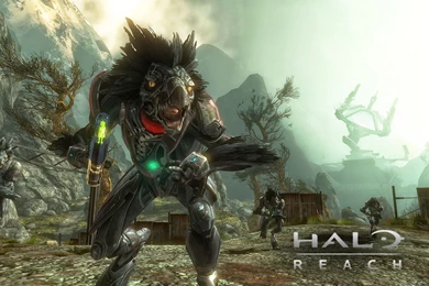 Free Halo Backgrounds