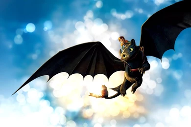 How To Train Your Dragon Full Hd Wallpapers