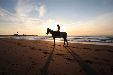 10 Horse Riding HD Wallpapers