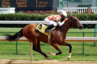 Download Wallpapers 1920x1080 Horse, Riding, Racing, Mud Full HD ...