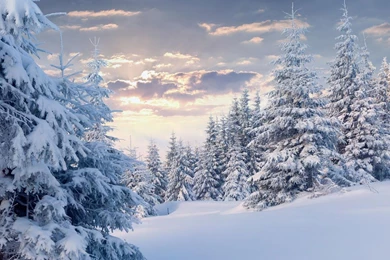 Make Snowflakes Live Wallpapers   Android Apps On Google Play