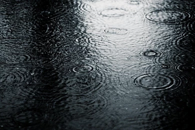 Zedge Live Wallpapers Widescreen D45