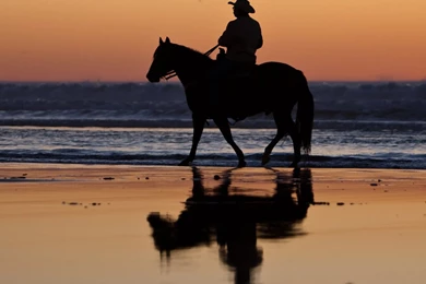 Riding Horse At Beach   Flikie Wallpapers