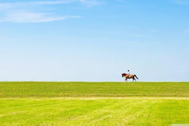 Horse Riding Wallpapers