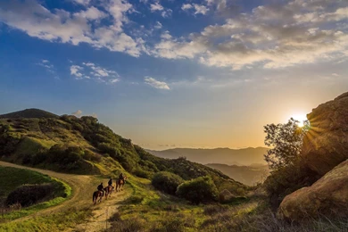 RIDING ON A HORSE TAIL AT SUNRISE WALLPAPER   (