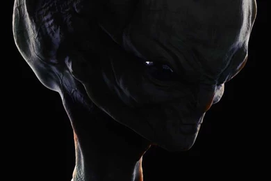 Alien Head By ASkBlaster On DeviantArt