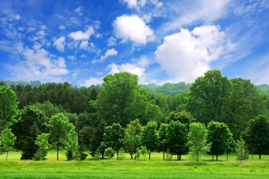 Beautiful Summer Landscape HD Desktop Wallpapers : Widescreen ...