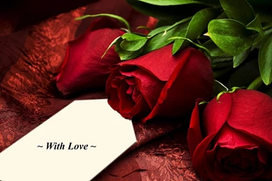 Red Rose Love Quotes. QuotesGram