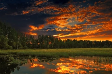 Eye Beauty Of Nature HD Free Wallpapers