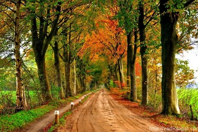 Fantasy Wallpapers Nature