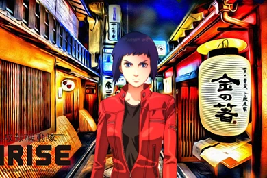 Ghostintheshellarise   DeviantArt