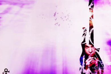 Prince Wallpapers   Wallpapers Cave