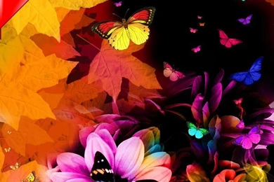 Butterfly Fashion Wallpapers V2.7 New Android App Free Download