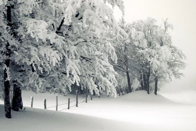 Wallpapers Seasons Winter Nature Image