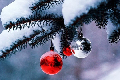 Nature Wallpapers   Winter, Black, Lightsteelblue, Gainsboro ...